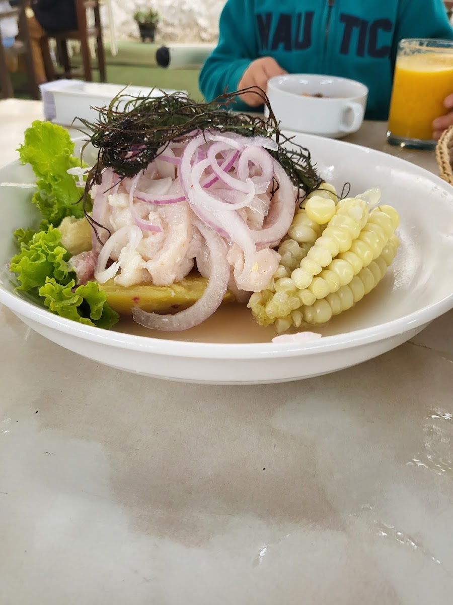 El Renegon - Moche-6